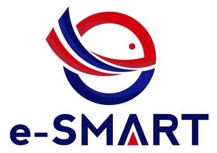 e-SMART